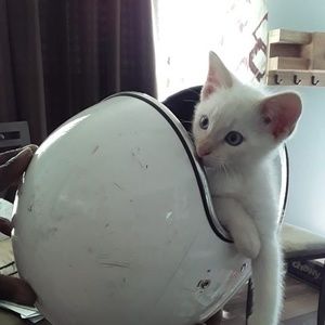 Meet your Posher, Kathy